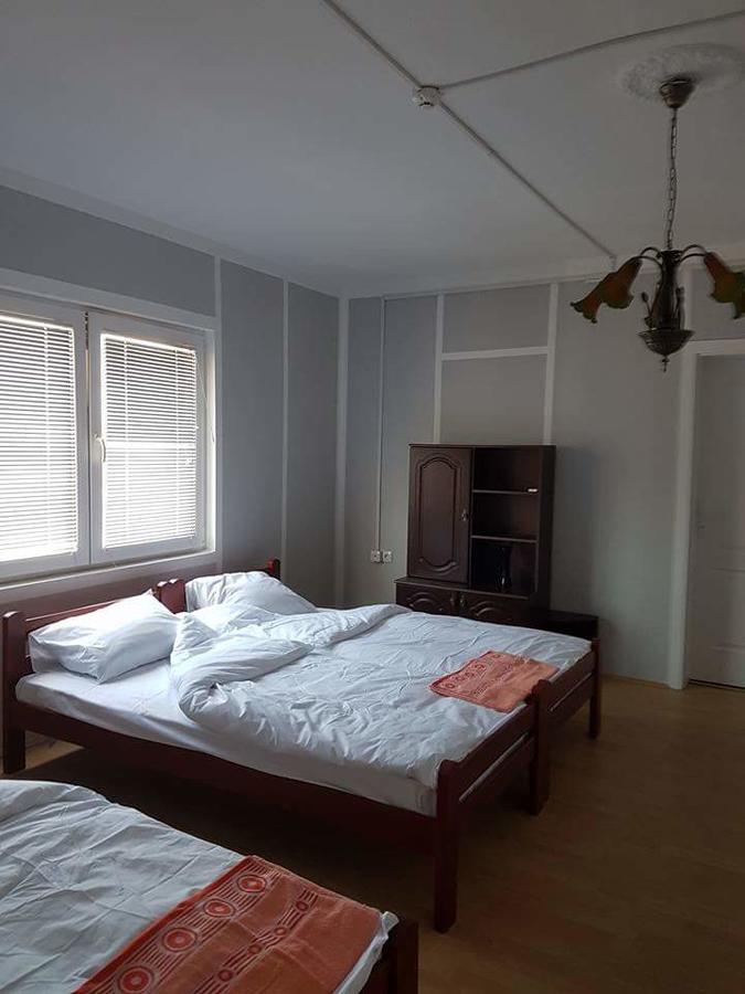 Golden Danube Bed & Breakfast Veliko Gradiste Exterior photo