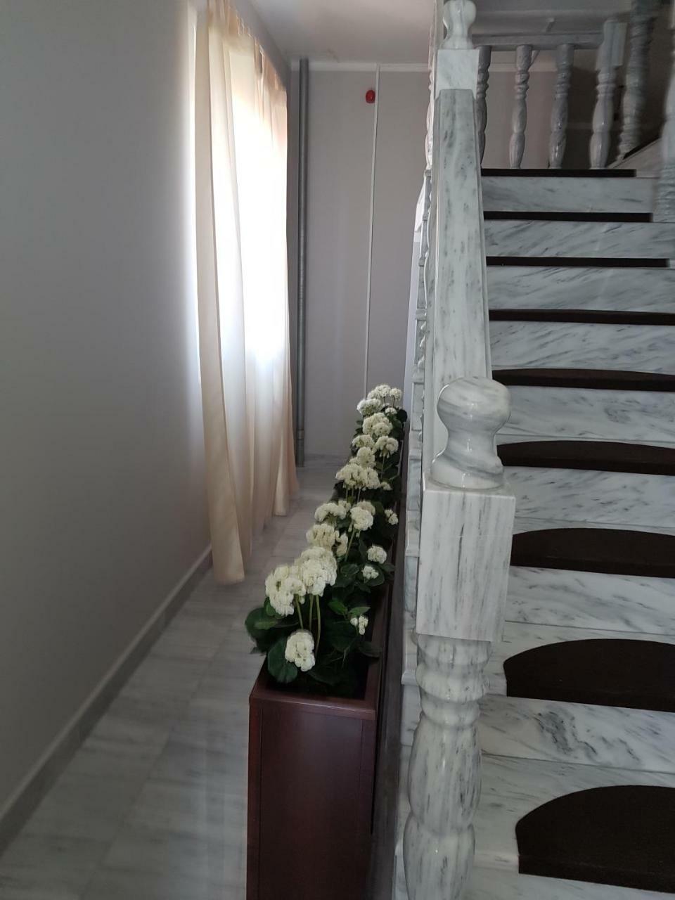 Golden Danube Bed & Breakfast Veliko Gradiste Exterior photo